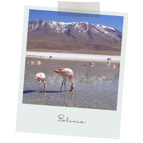 Salar de Uyuni_INTI Languages indigenous language learning, INTI Languages