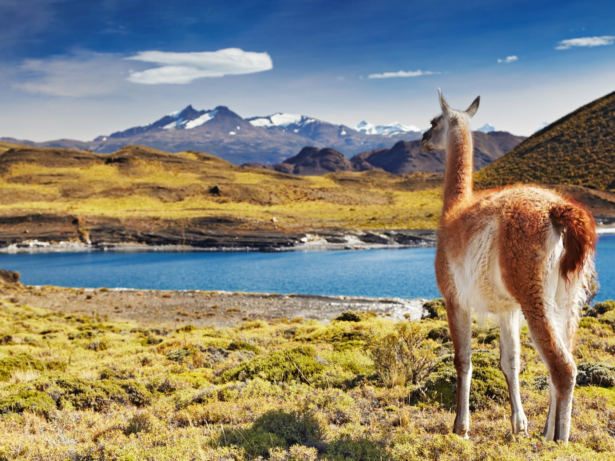 Andes Peru Bolivia Andes Peru Bolivia