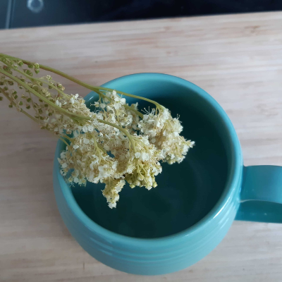 Wild herbs tea Wild herbs tea