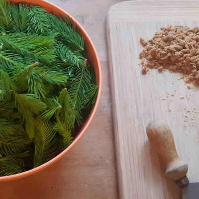 spruce sugar spruce sugar